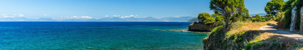 Scogliera con mare cristallino, cielo azzurro e sentiero tra alberi verdi, atmosfera serena.