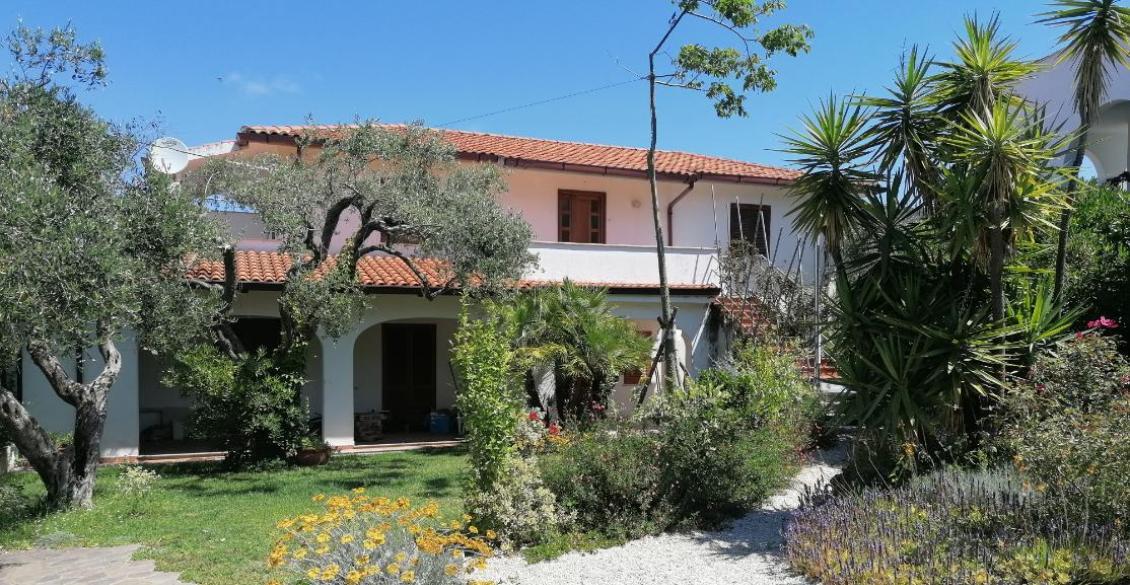 Casa mediterranea con giardino fiorito, ulivi e cielo azzurro, trasmette serenità e bellezza estiva.