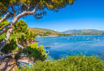 Vista mozzafiato su mare azzurro, barche serene, alberi verdi e colline lontane.