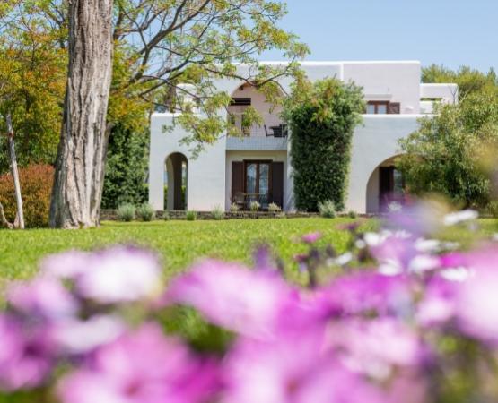 Casa bianca immersa nel verde, fiori rosa in primo piano, atmosfera serena e primaverile.