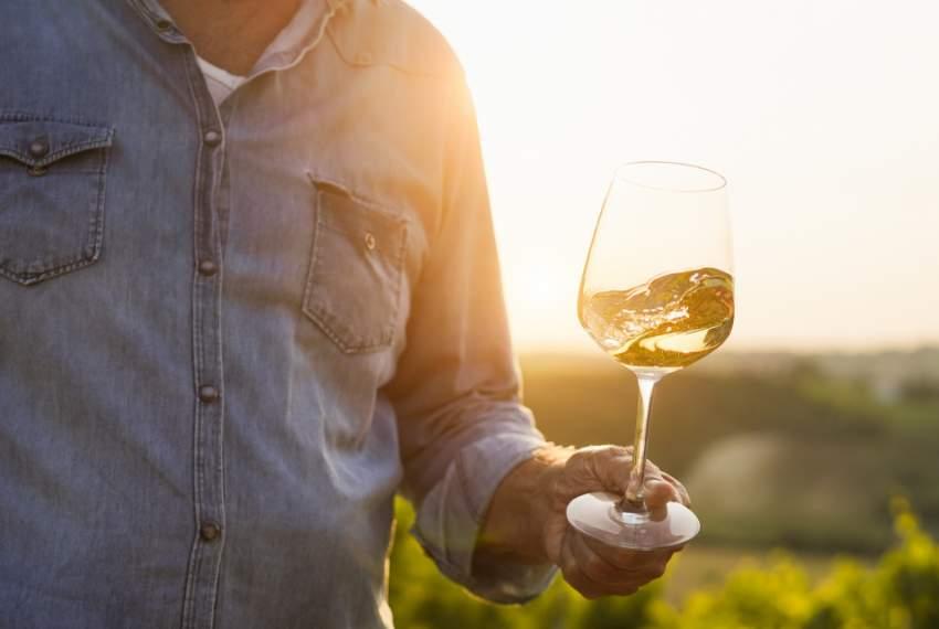 Uomo in camicia di jeans tiene un calice di vino bianco al tramonto in vigna.